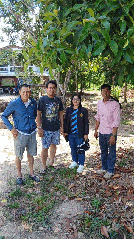 เทศบาลตำบลฉวาง ลงตรวจสอบการติดตั้งเสาไฟเสาไฟ High Mast
