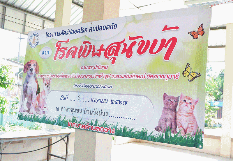 เทศบาลตำบลฉวาง จัดโครงการสัตว์ปลอดโรค คนปลอดภัย จากโรคพิษสุนัขบ้า